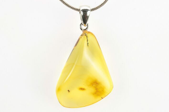 Polished Baltic Amber Pendant (Necklace) - Contains Fly! #273393